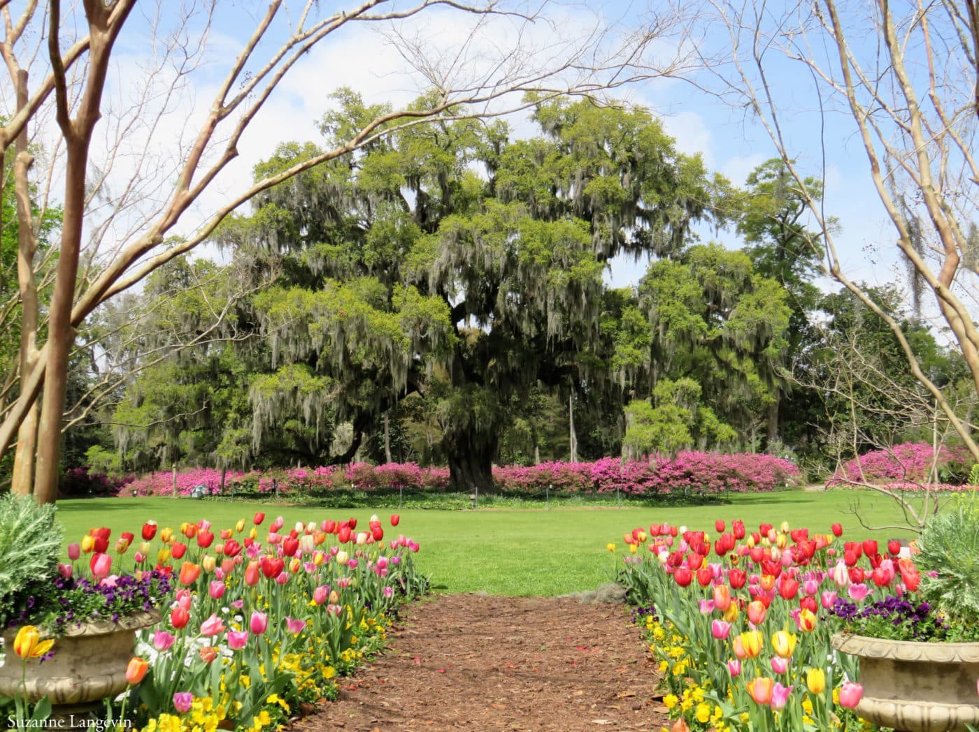 Airlie Gardens