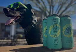 Broomtail Craft Brewery