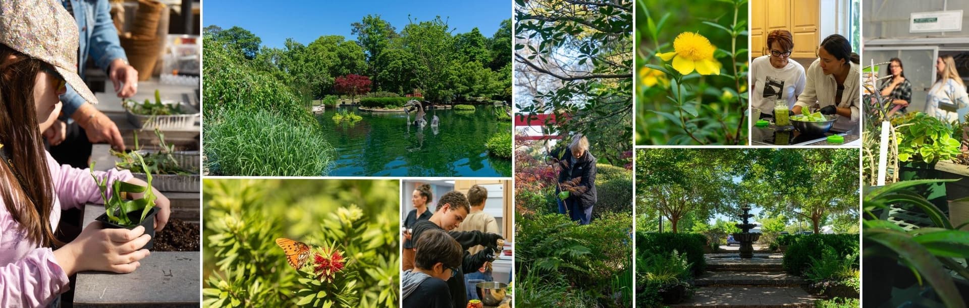 New Hanover County Arboretum