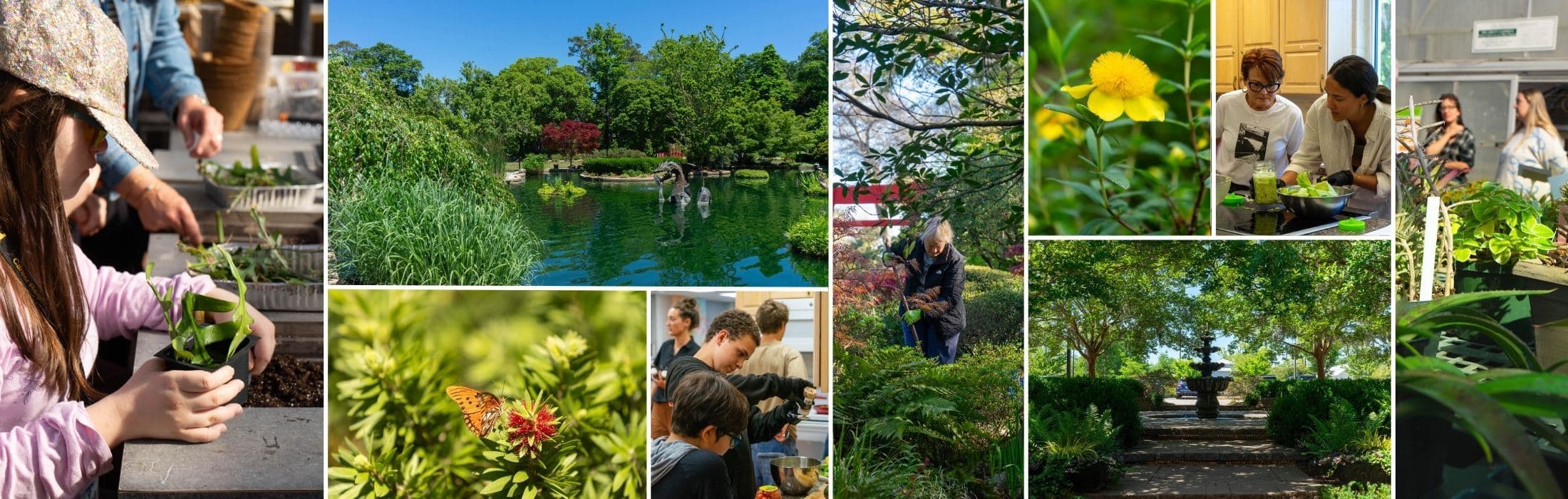 New Hanover County Arboretum