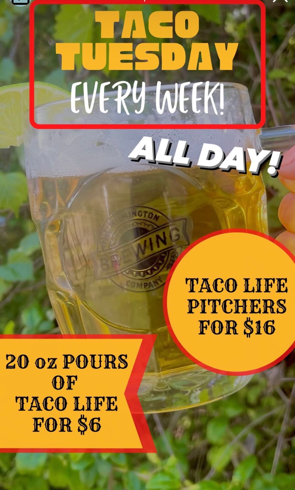 Taco Tuesday