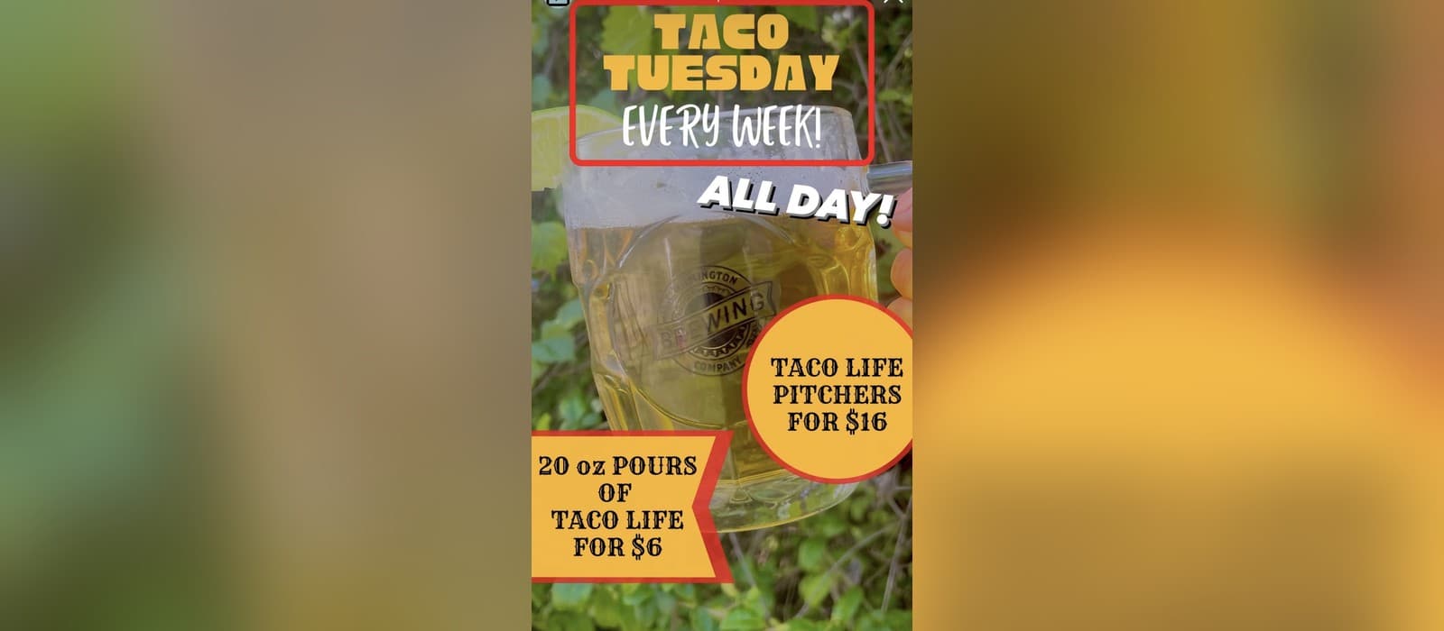 Taco Tuesday