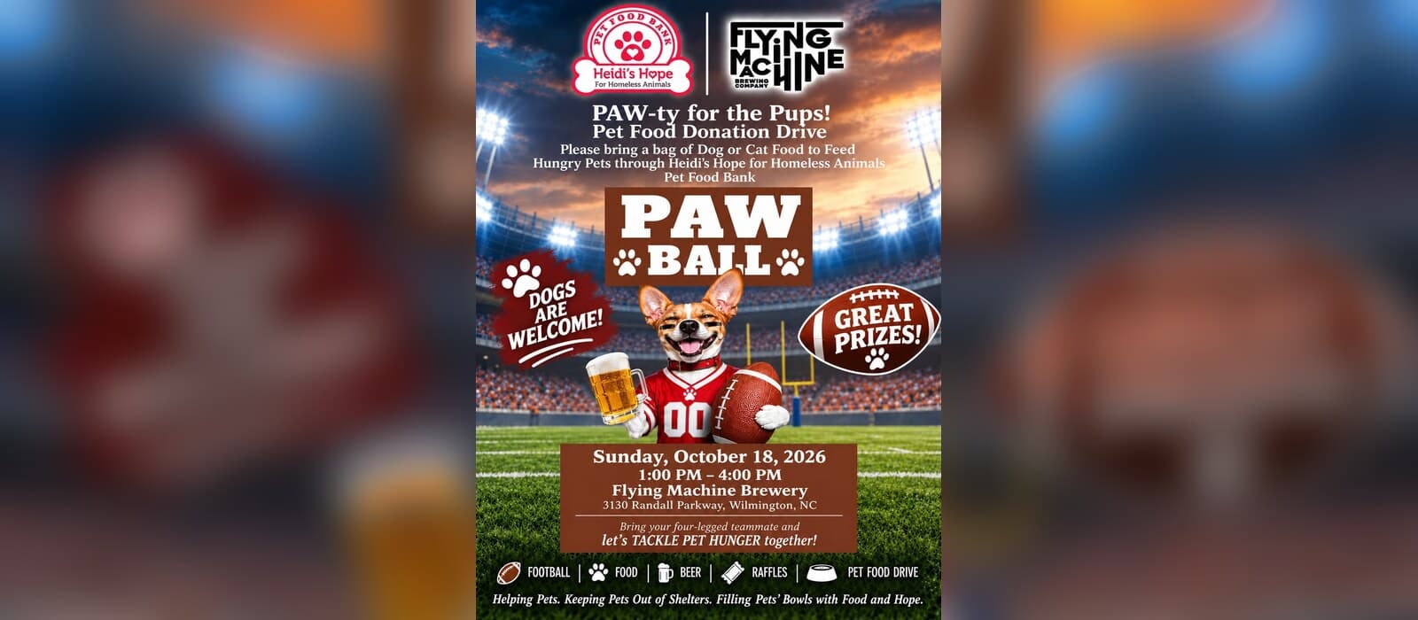 PAW-Ball: PAW-ty for the Pups