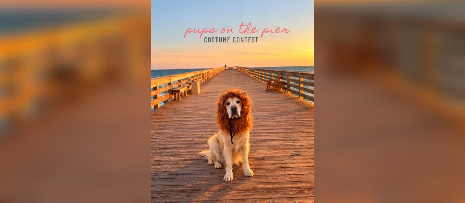 Pups on the Pier: Howl-oween Costume Contest