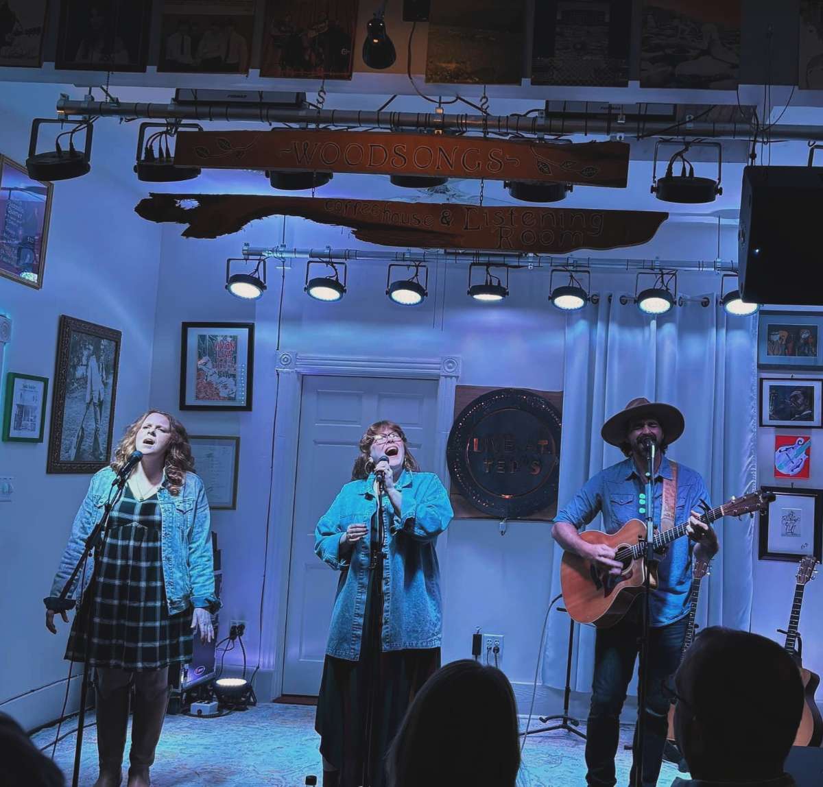 Striking Copper Trio at Live at Ted's, Wilmington NC