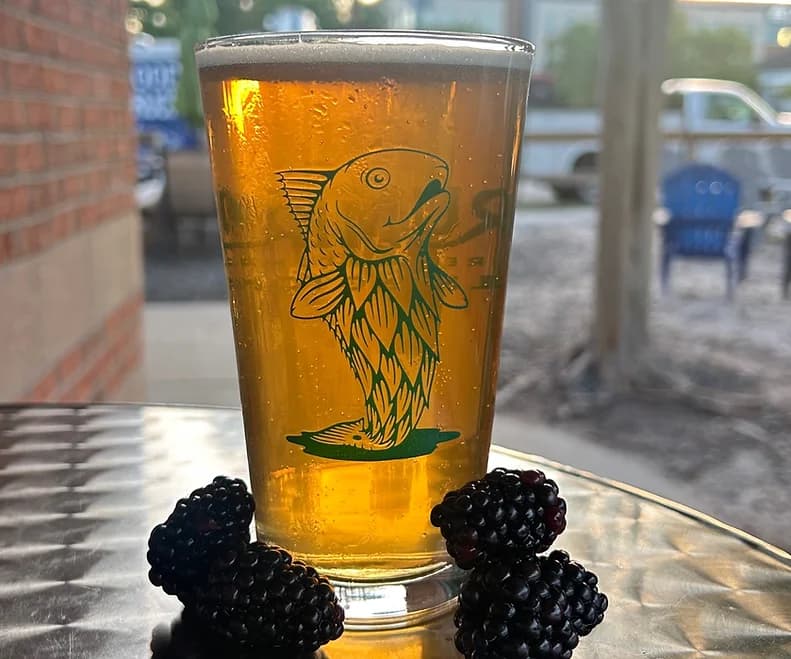 DrumTrout Brewing Company