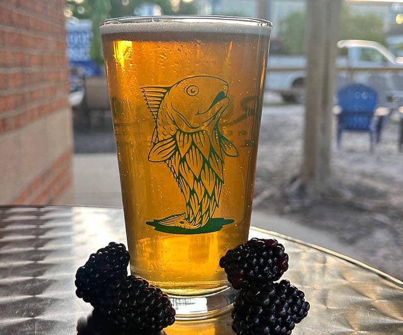 DrumTrout Brewing Company